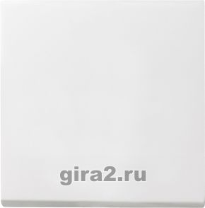 Клавиша для клавишных и кнопочных выключателей System 55 (матовый белый) Клавиша для клавишных и кнопочных выключателей System 55 (матовый белый)