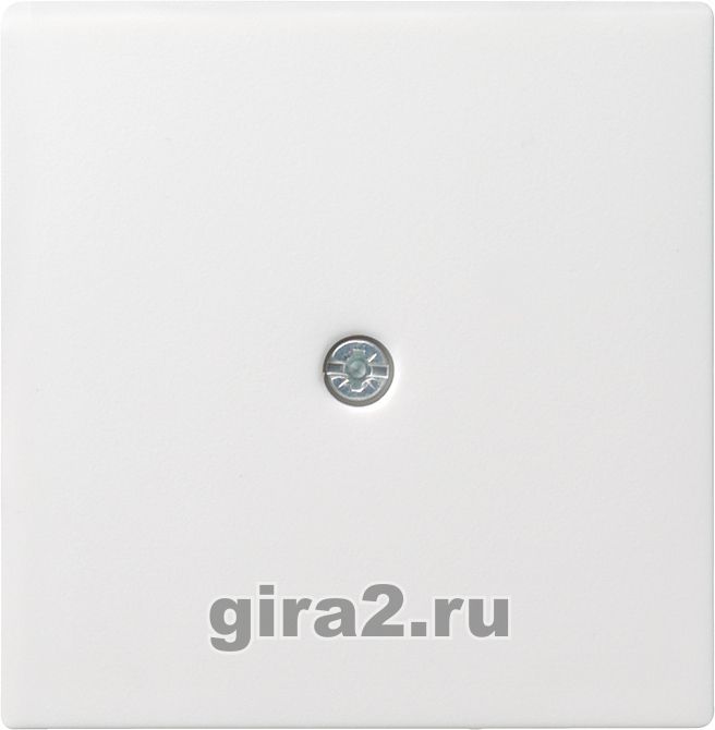   Gira System 55   - -