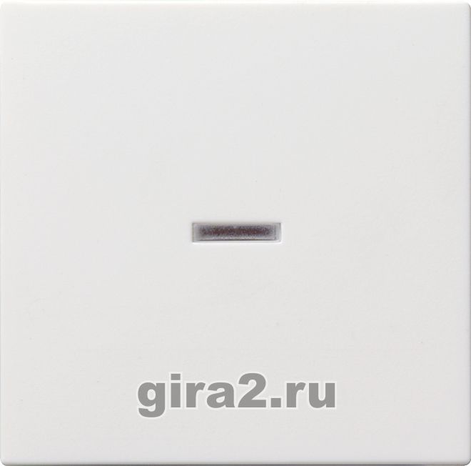           GIRA System 55 ()