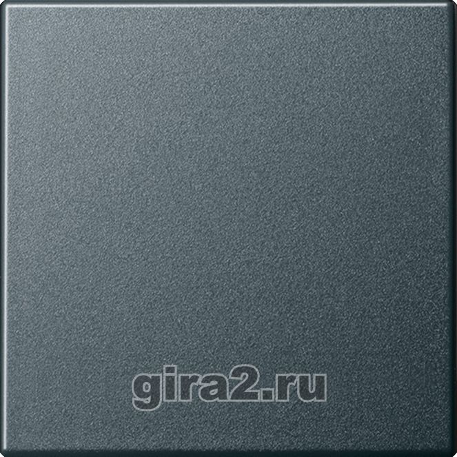      Gira System 55 ()