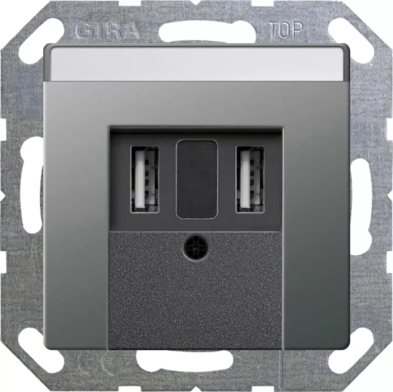 Зарядное устройство USB Gira, USB-A x 2, 3A (Сталь) Зарядное устройство USB Gira, USB-A x 2, 3A (Сталь)