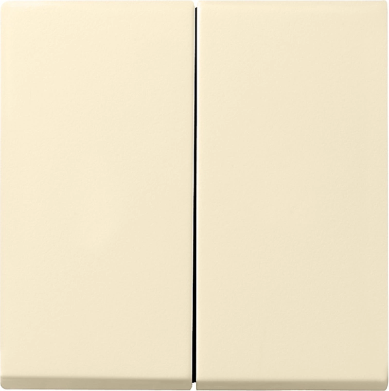    Gira System 55 ( )