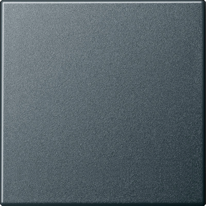      Gira System 55 ()