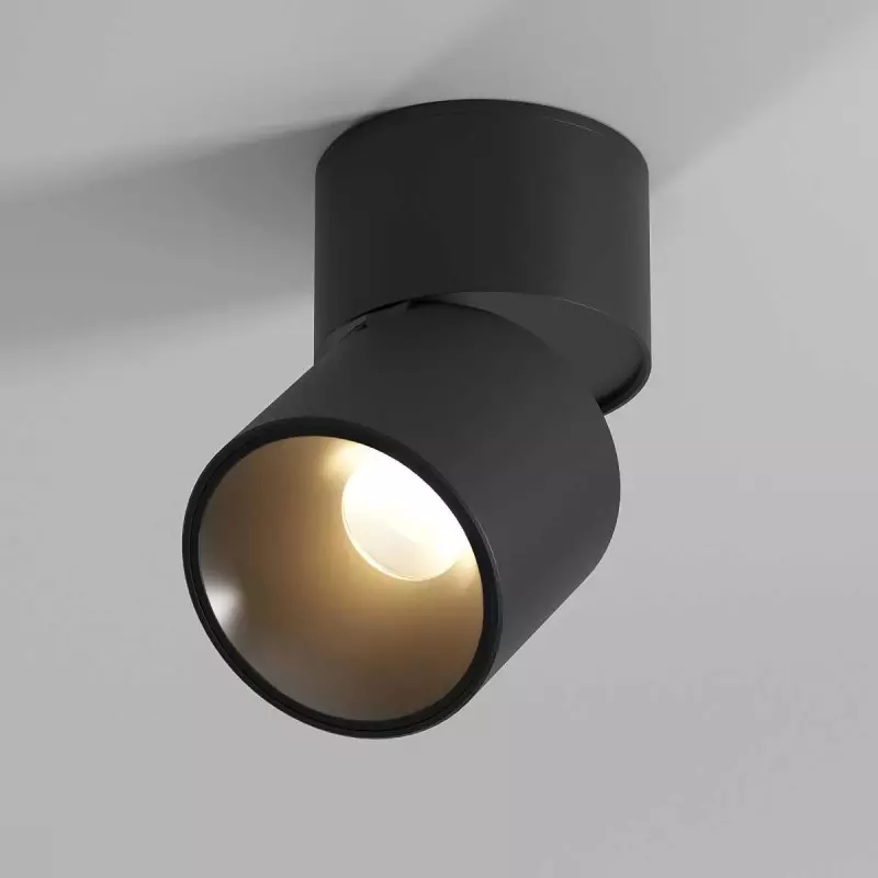 Потолочный светильник Elektrostandard 25112/LED a067488 Потолочный светильник Elektrostandard 25112/LED a067488