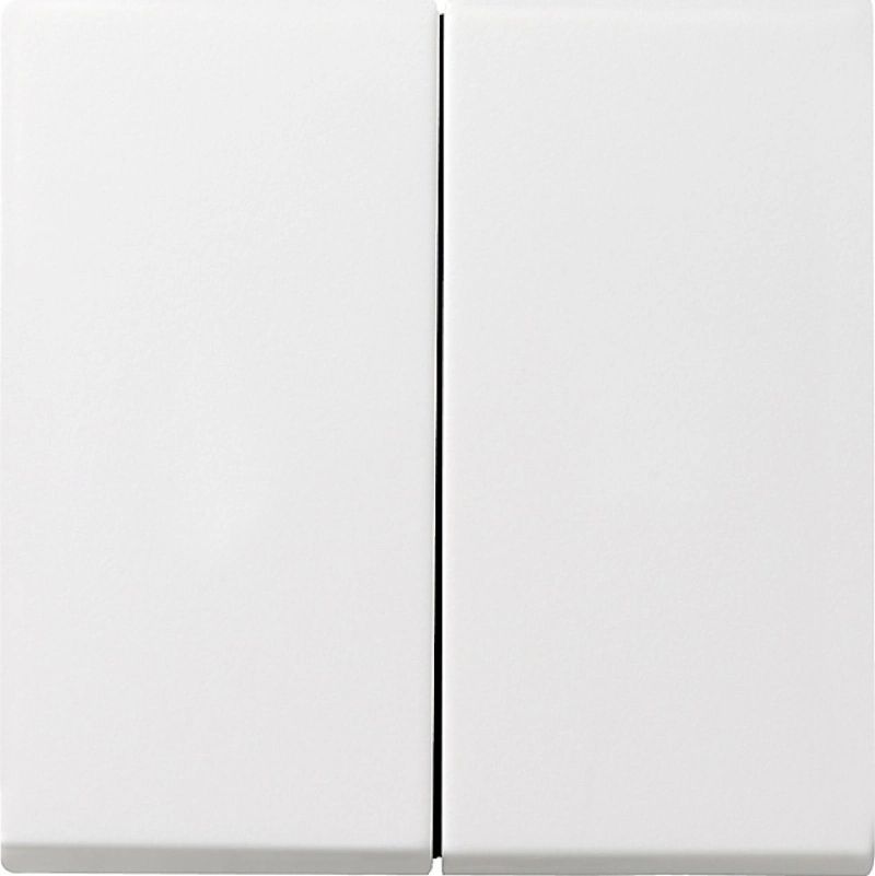    Gira System 55 ( )