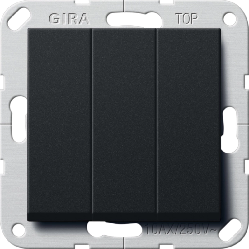  Gira System 55 (׸ )
