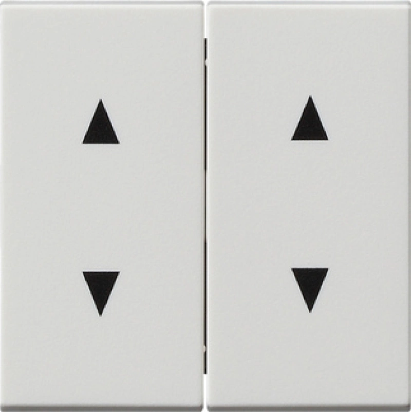     4    Gira System 55 ( )