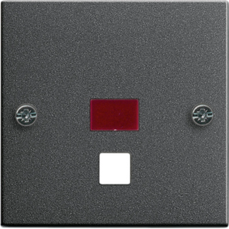      Gira System 55 ()