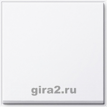       TX 44 ()