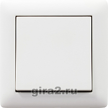  Gira Standart 55  