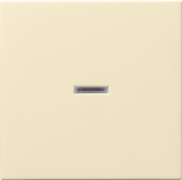         System 55 ( )