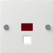      System 55 ( )