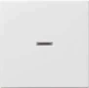         System 55 ( )