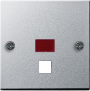      System 55 ()