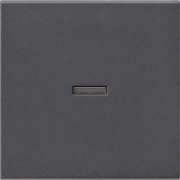         System 55 ()