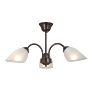   Vitaluce V3335-7/3PL