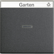            System 55 ()