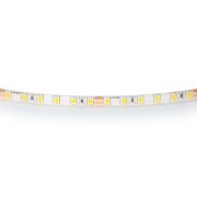    Lightstar 12W/m 120LED/m   5M 420553