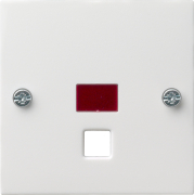      System 55 ( )