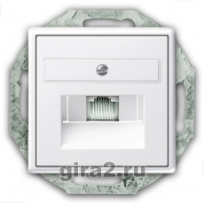   RJ-12  Gira System 55   Jung ( )