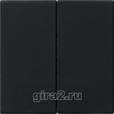  IP44  2-   Gira Standard 55