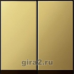 Двойные клавиши System 55 Латунь Двойные клавиши System 55 Латунь