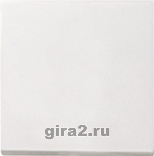     GIRA System 55 ()