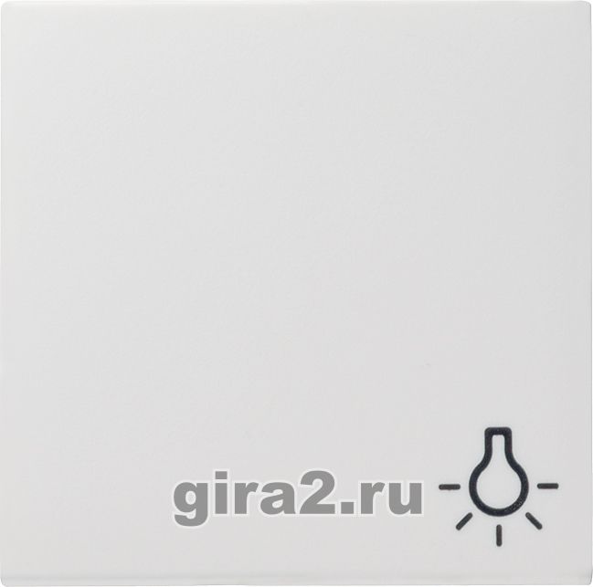    GIRA E22 ()