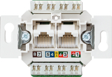   RJ45   6a Jung UTP