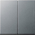      System 55 ()